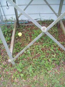 Old and New Testament